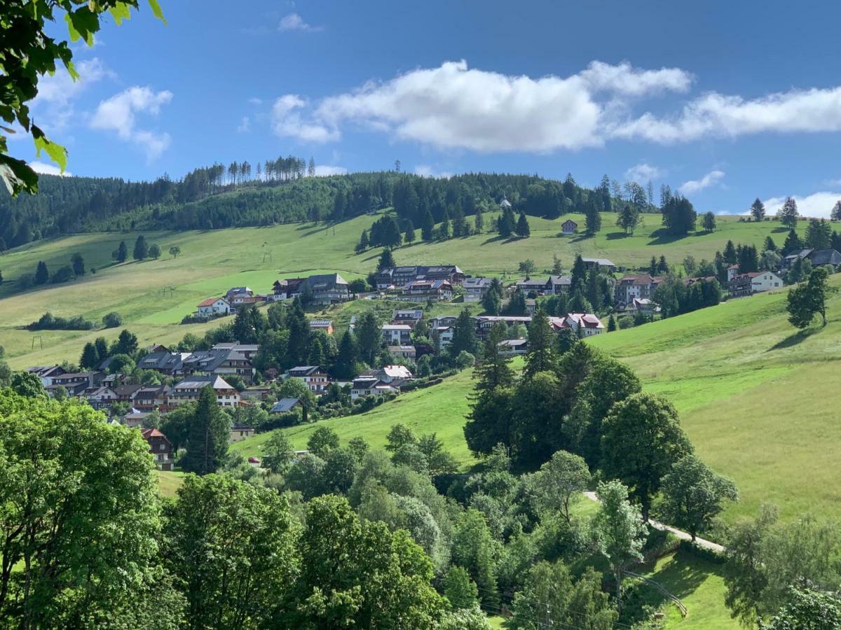 Haus Am Sonnenberg,Todtnauberg, Ferienwohnung 105, Direkt Am Skilift-Skipiste, Naehe Feldberg エクステリア 写真
